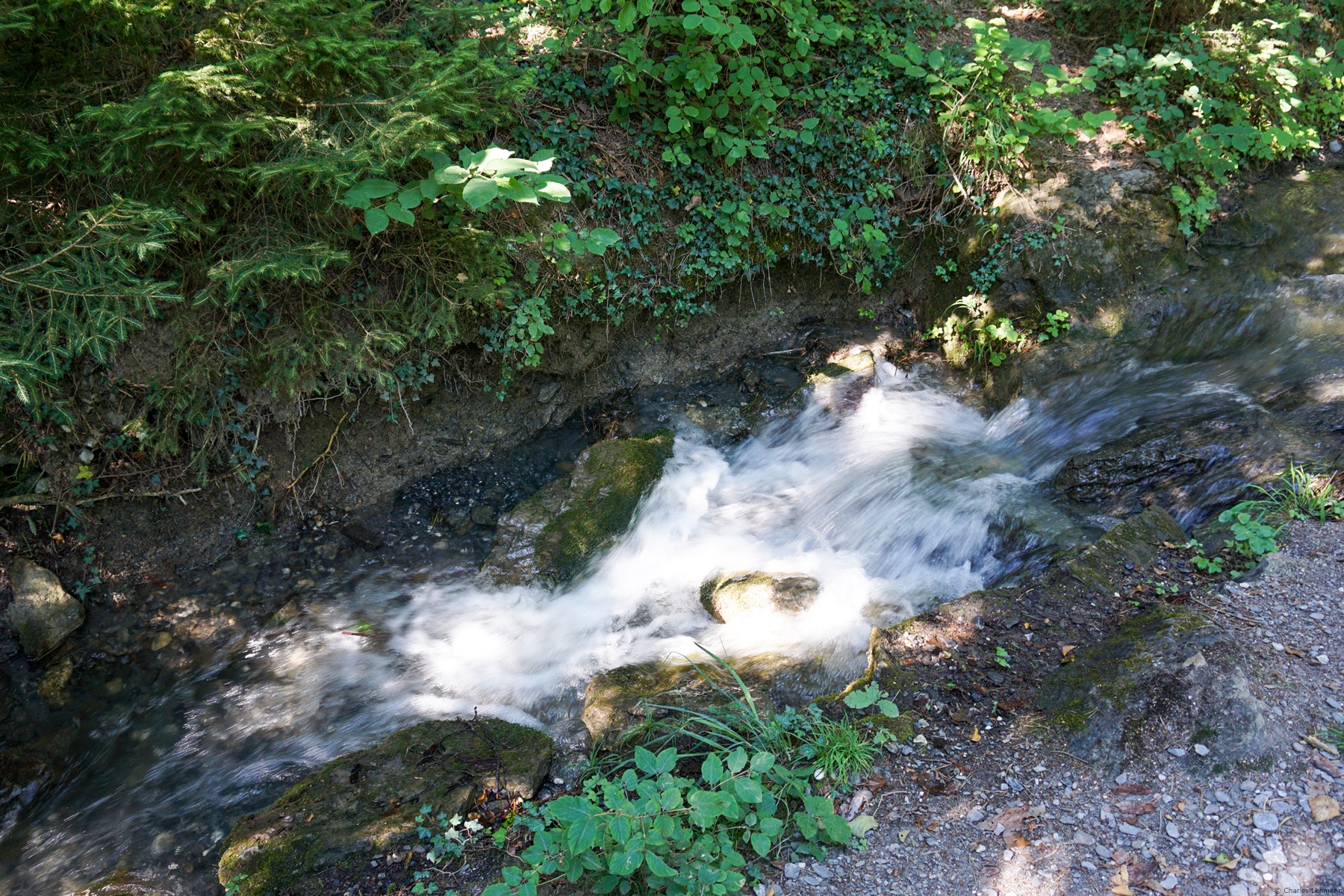Das Suonenwasser