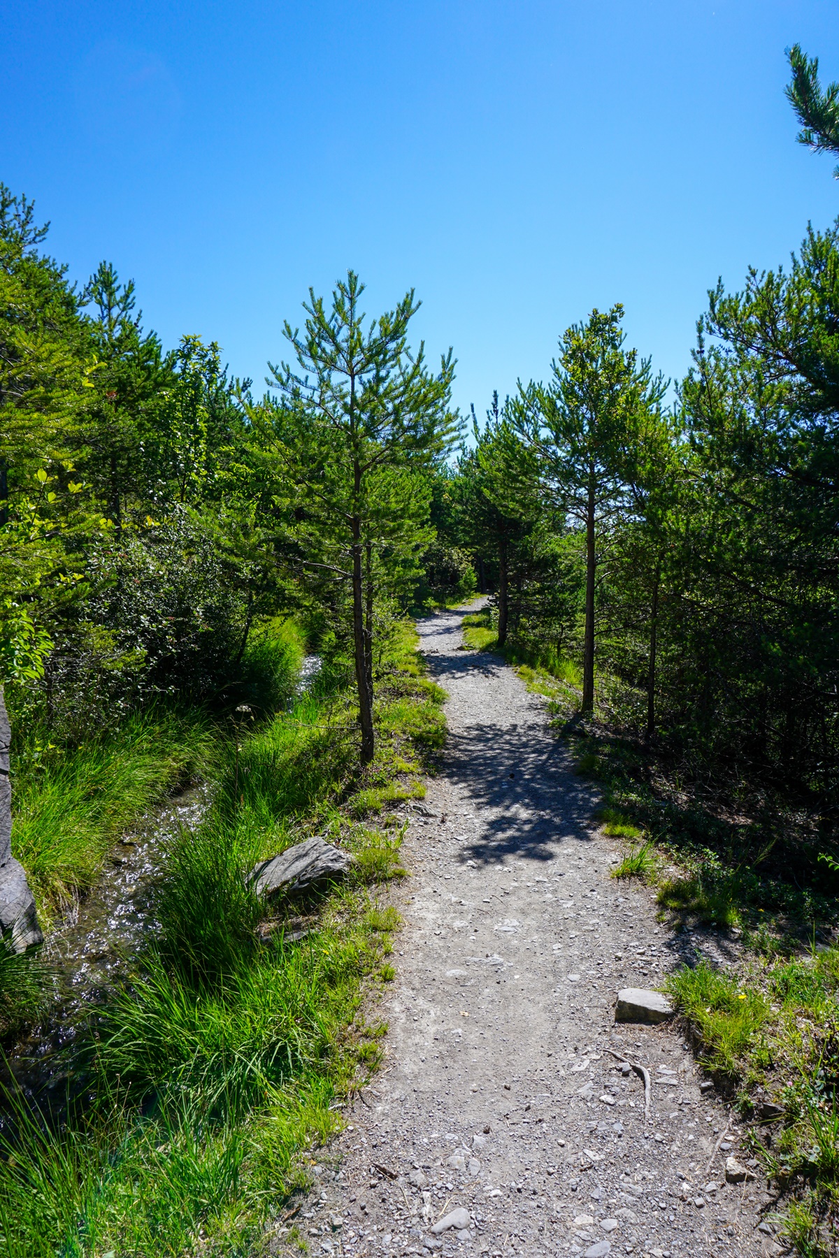 Entlang des Bisse Neuf