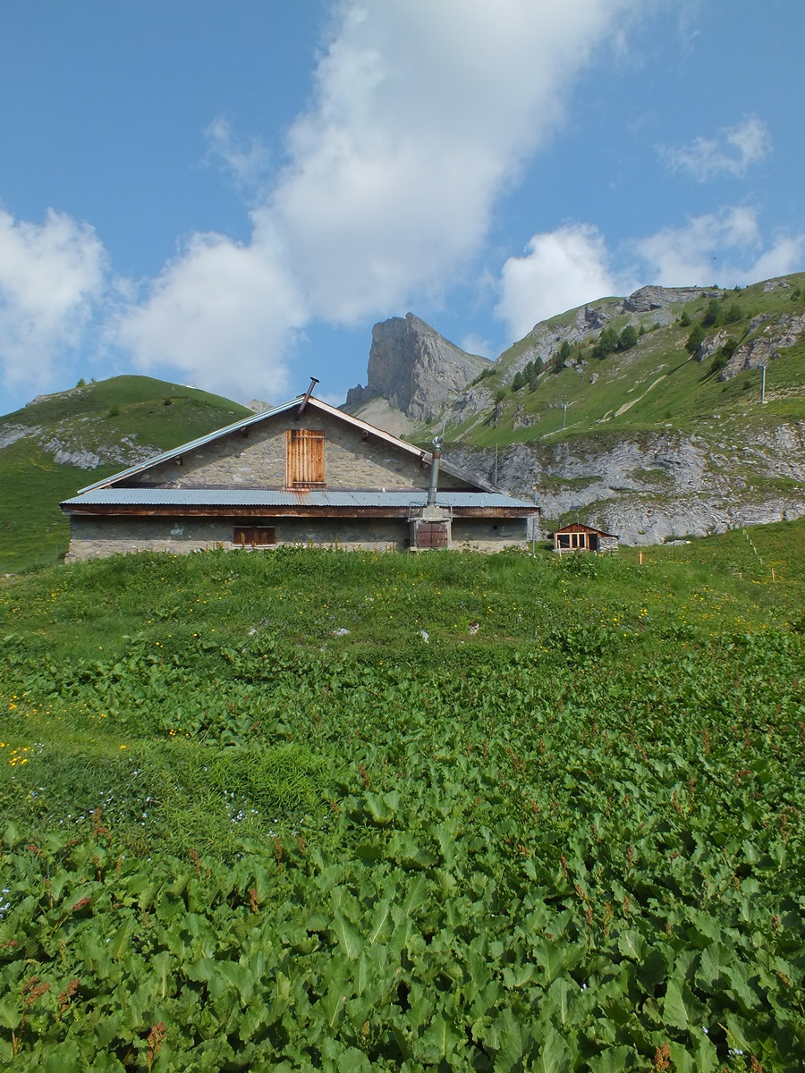 Paysage de montagne