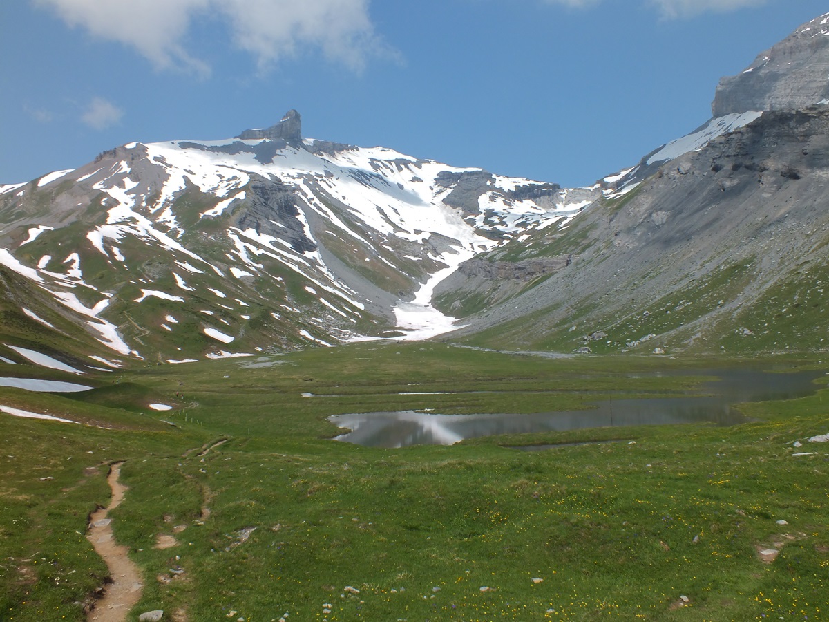 Paysage de montagne