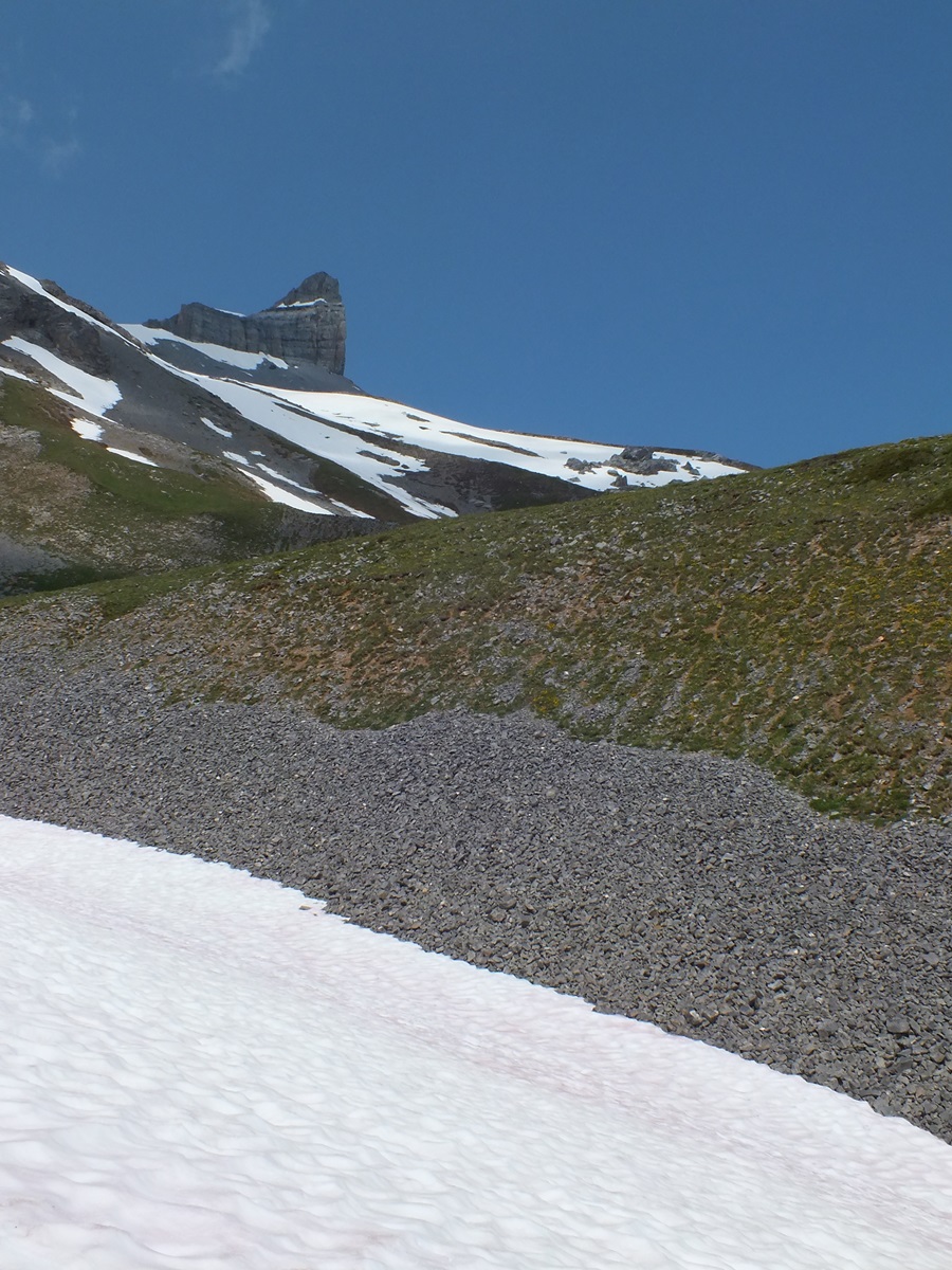 Paysage de montagne
