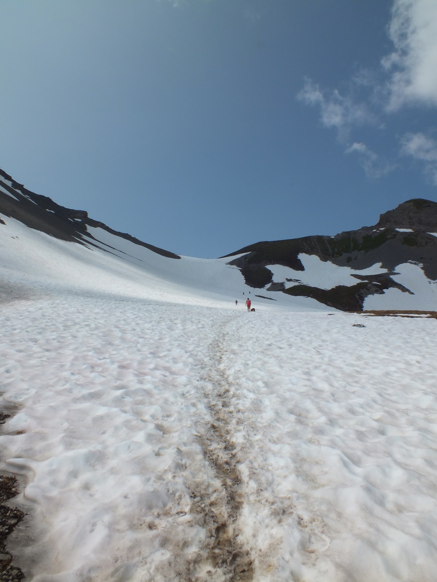 Paysage de montagne