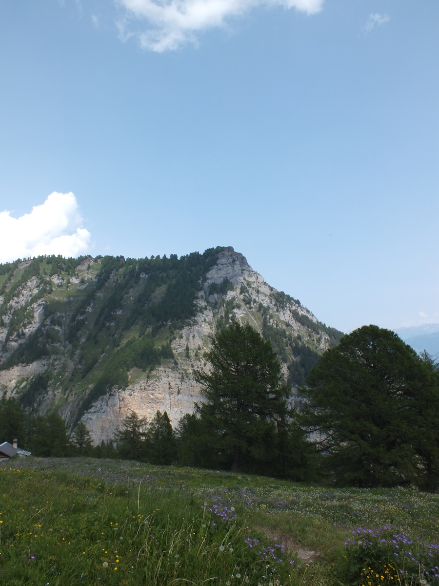 Paysage de montagne