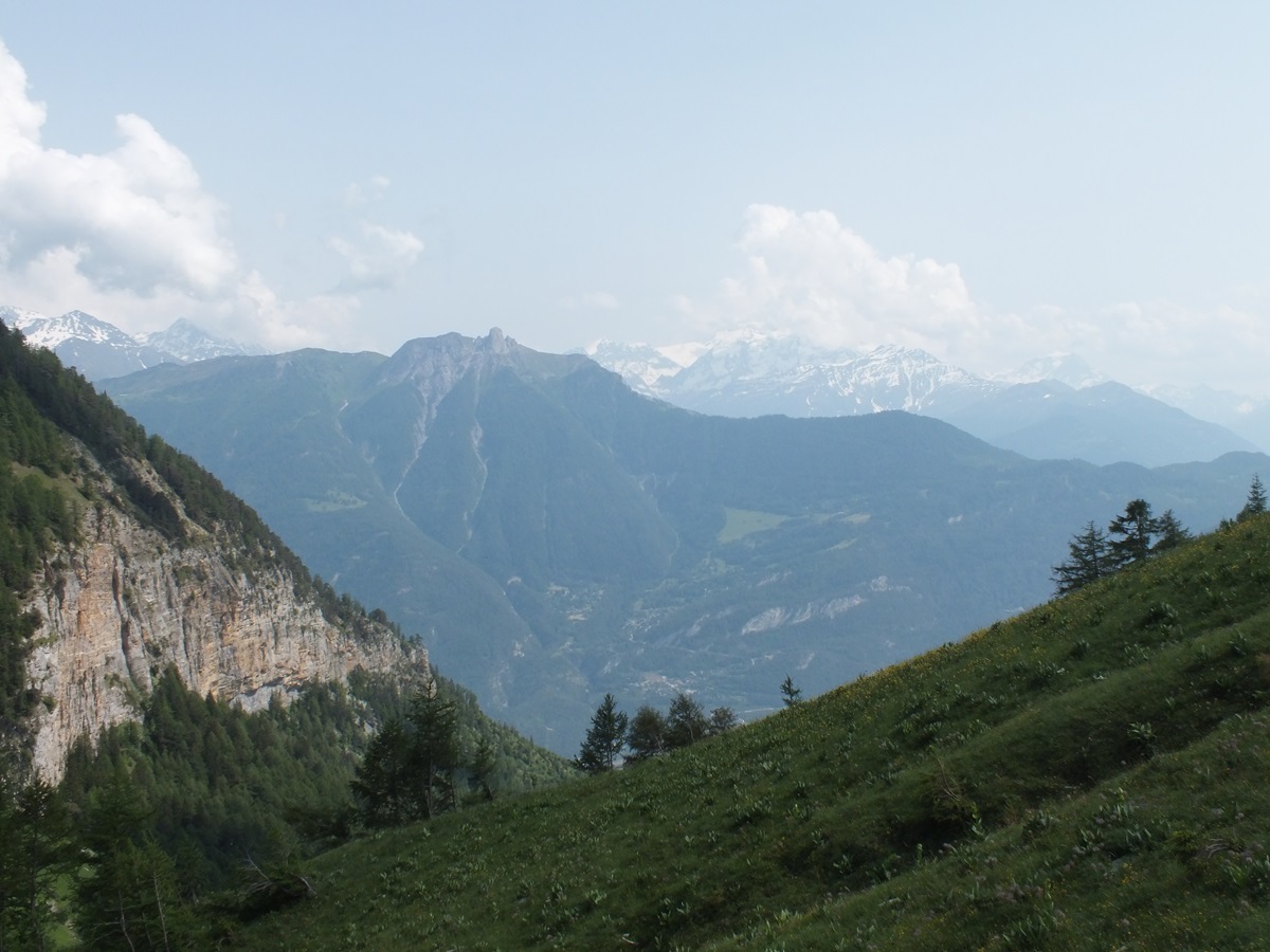 Paysage de montagne