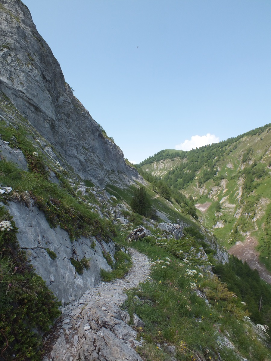 Paysage de montagne
