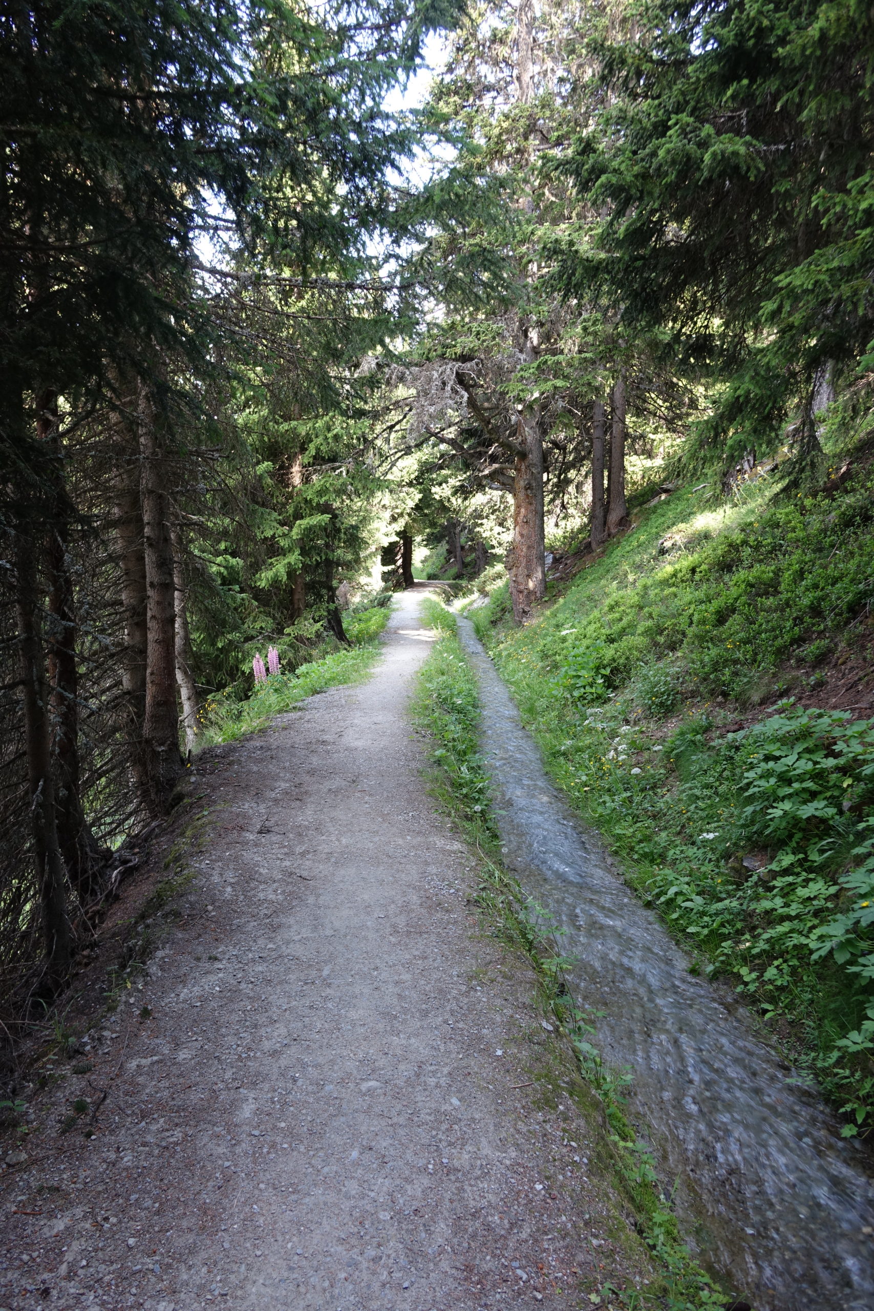 Mountain scenery