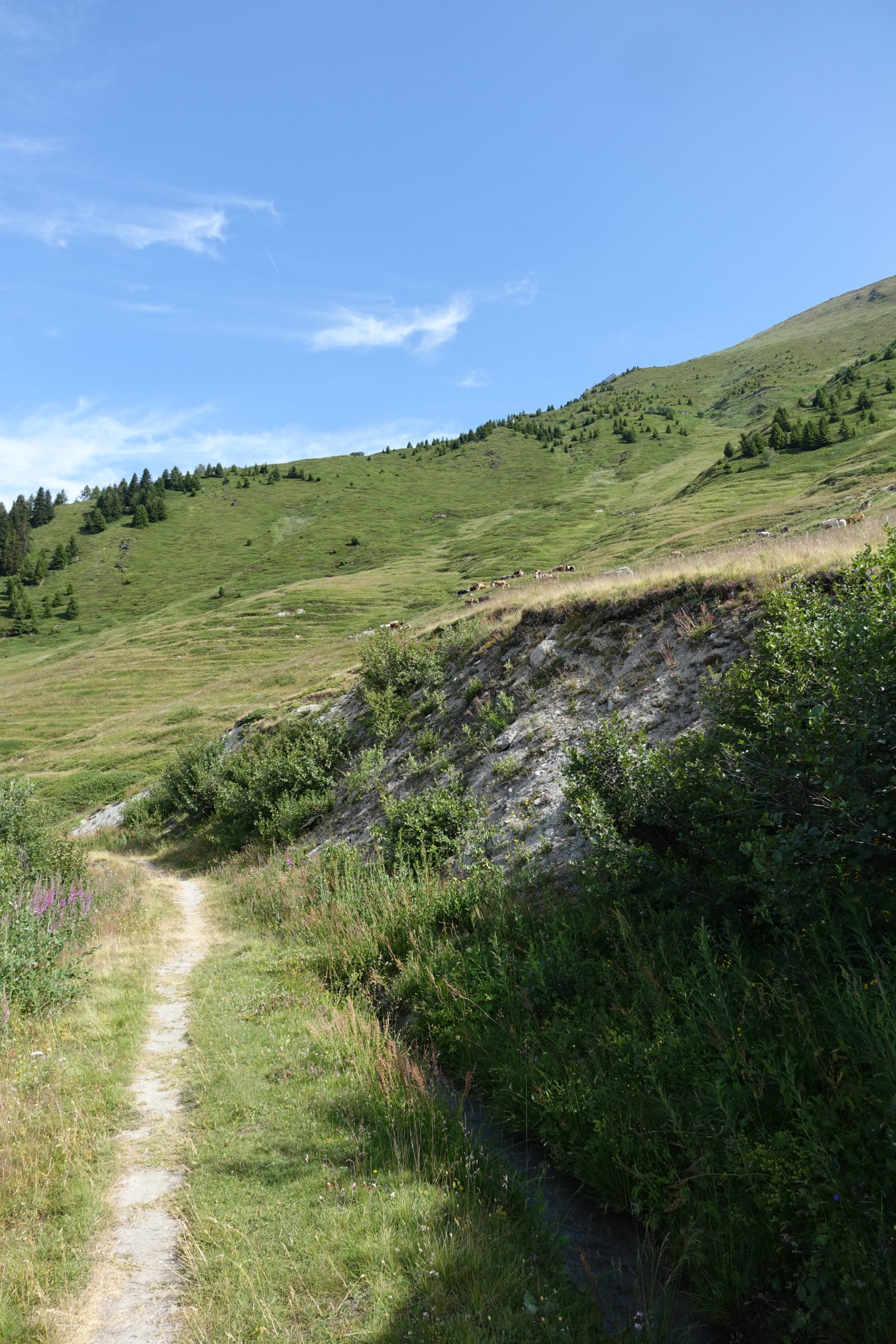 Mountain scenery