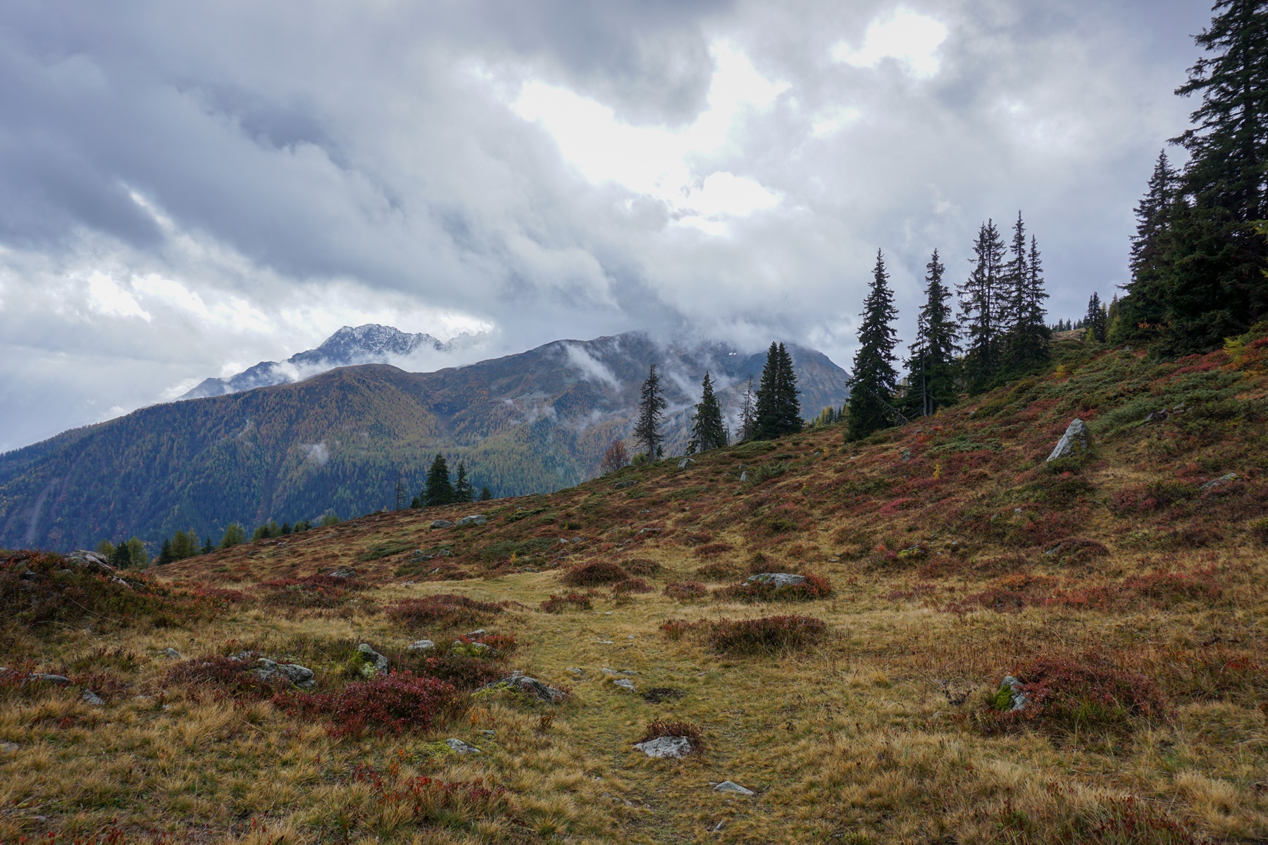 Paysage de montagne
