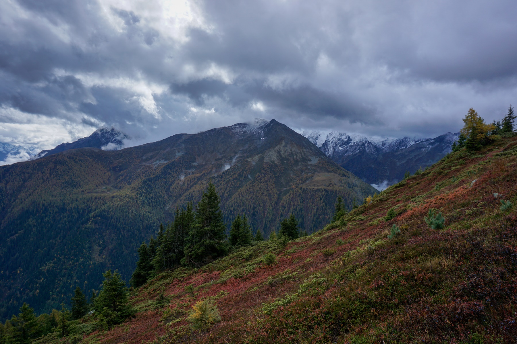 Paysage de montagne
