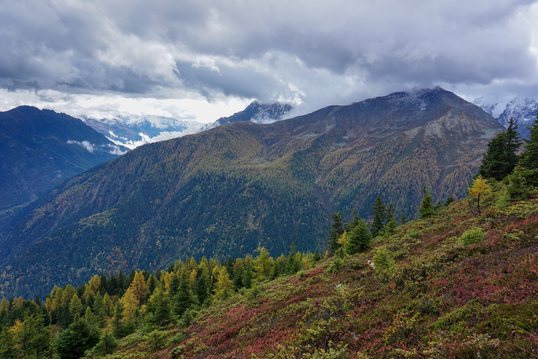 Paysage de montagne