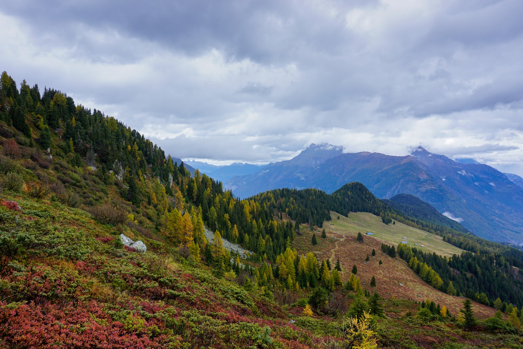 Paysage de montagne