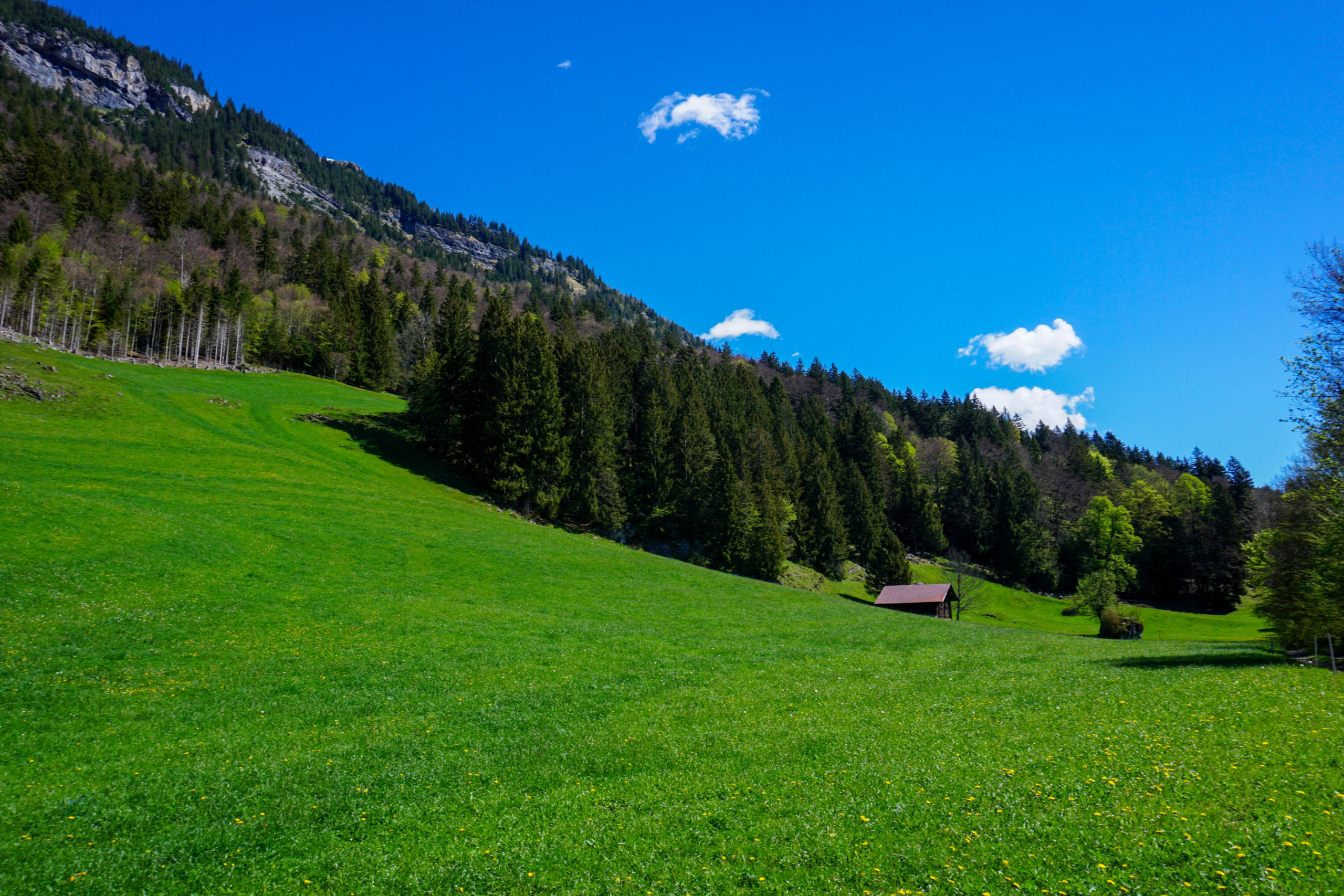 Reiseziel Berge für ein Umgebungswechsel und Entspannung Neue Erlebnisse in den Bergen