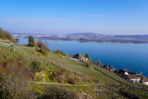 Paysage de montagne
