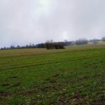 Paysage de montagne