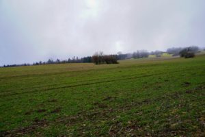Paysage de montagne