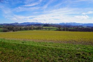 Paysage de montagne
