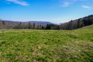 Paysage de montagne