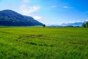 Paysage
