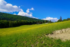 Berglandschaft