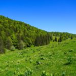 Mountain scenery