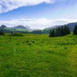 Paysage de montagne