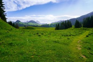 Berglandschaft