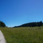 Paysage de montagne