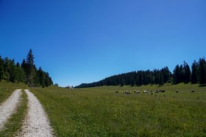 Paysage de montagne
