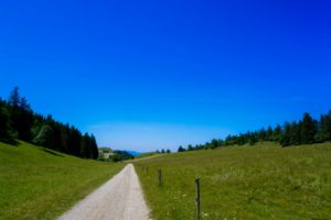 Paysage de montagne