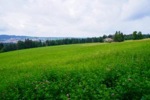 Paysage de montagne