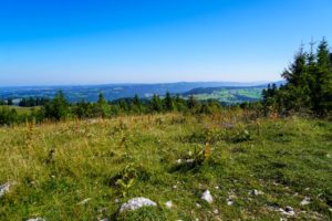 Paysage de montagne