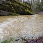 Torrent