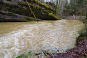 Torrent