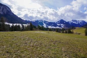 Paysage de montagne