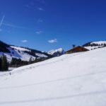 Paysage de montagne