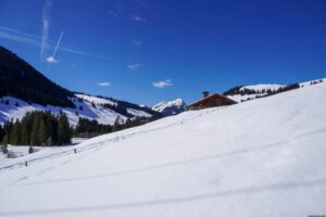 Paysage de montagne