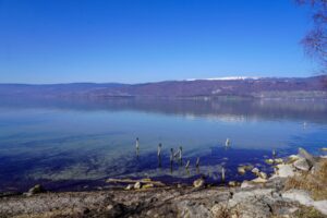 Paysage lacustre