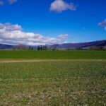 Paysage de montagne