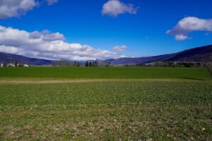 Paysage de montagne