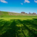 Paysage de campagne