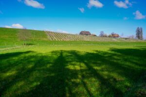 Paysage de campagne