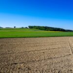 Paysage de plaine