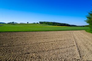Paysage de plaine