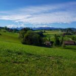 Paysage de plaine
