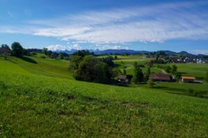 Paysage de plaine