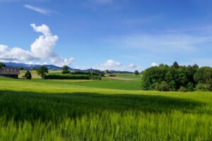 Paysage de plaine