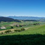 Paysage de plaine