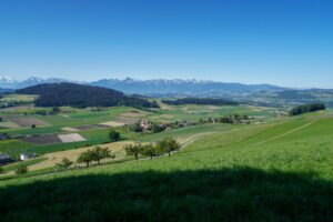 Paysage de plaine