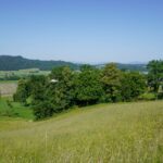 Paysage de plaine