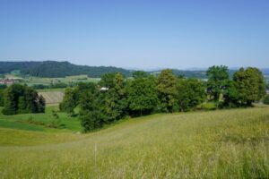 Paysage de plaine
